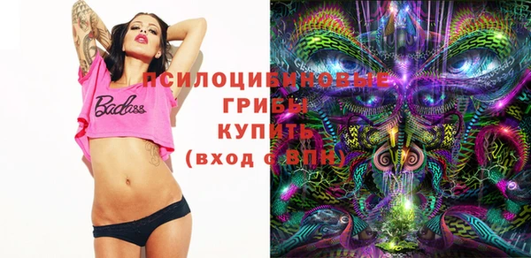 ешки Абаза