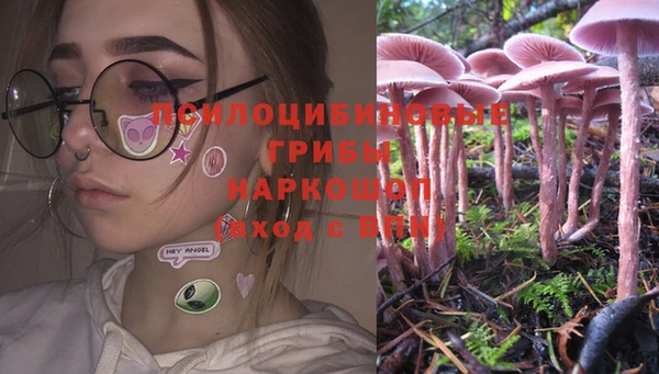 ешки Абаза