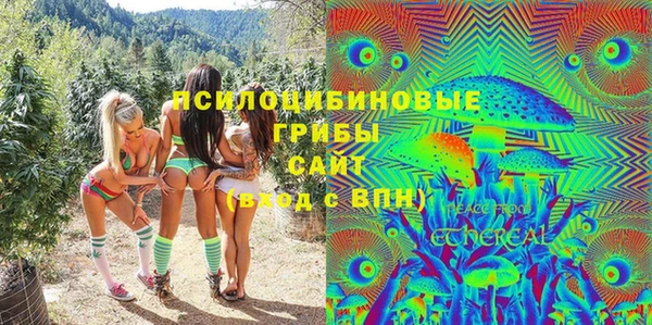 ешки Абаза