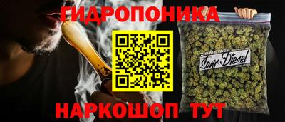 a pvp Усть-Илимск
