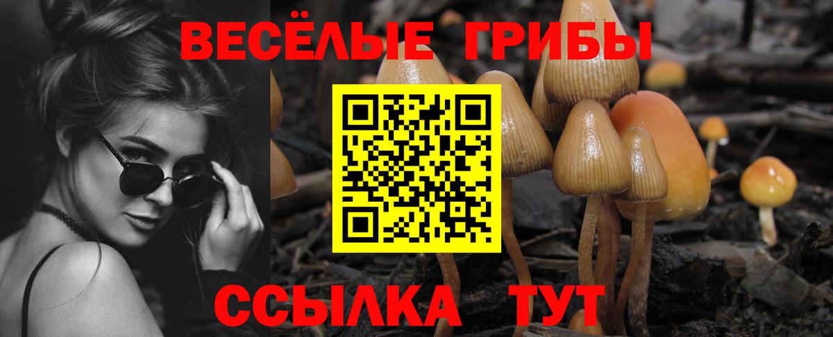 наркошоп  Галлюциногенные грибы Magic Shrooms  Вход с VPN  Сызрань 